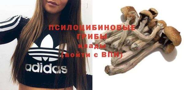 гидра Алзамай