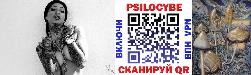 Псилоцибиновые грибы GOLDEN TEACHER  Ладушкин 